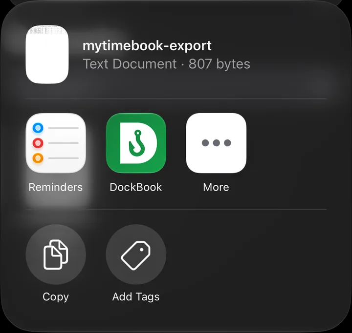 iPhone share sheet for the My TimeBook export file with DockBook in the app row